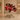 Til Barn - Kids